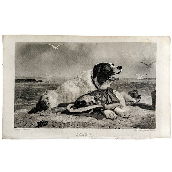 Dog Saves Drowning Boy Engraving 1859 Victorian Animal Seaside Art DWY5F - Picture 2 of 2